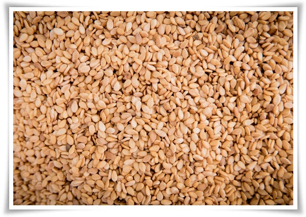 "8월, 참깨 수확해야 해요!" 순지르기/베는시기/수확하기/보관하기