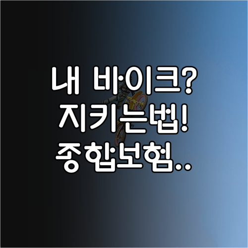 내 바이크와 내 몸을 지키는 오토바이..