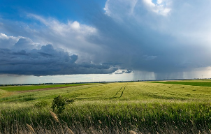 영암군 공익직불금 신청(농업보조금 서류)