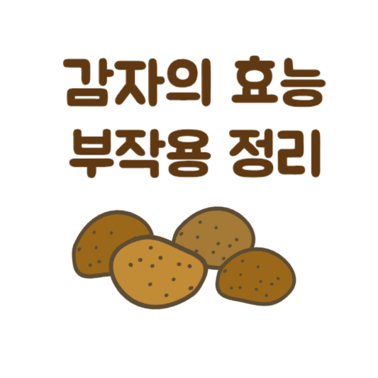 감자의 효능 및 부작용