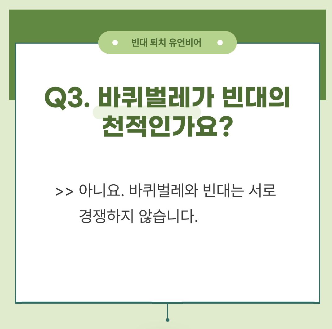 빈대 퇴치 방법 및 빈대 퇴치 유언비어(+2024)