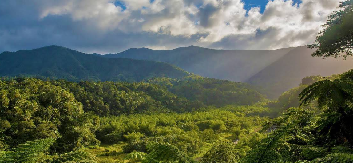 탭웨마사나 화산의 전경을 담은 사진