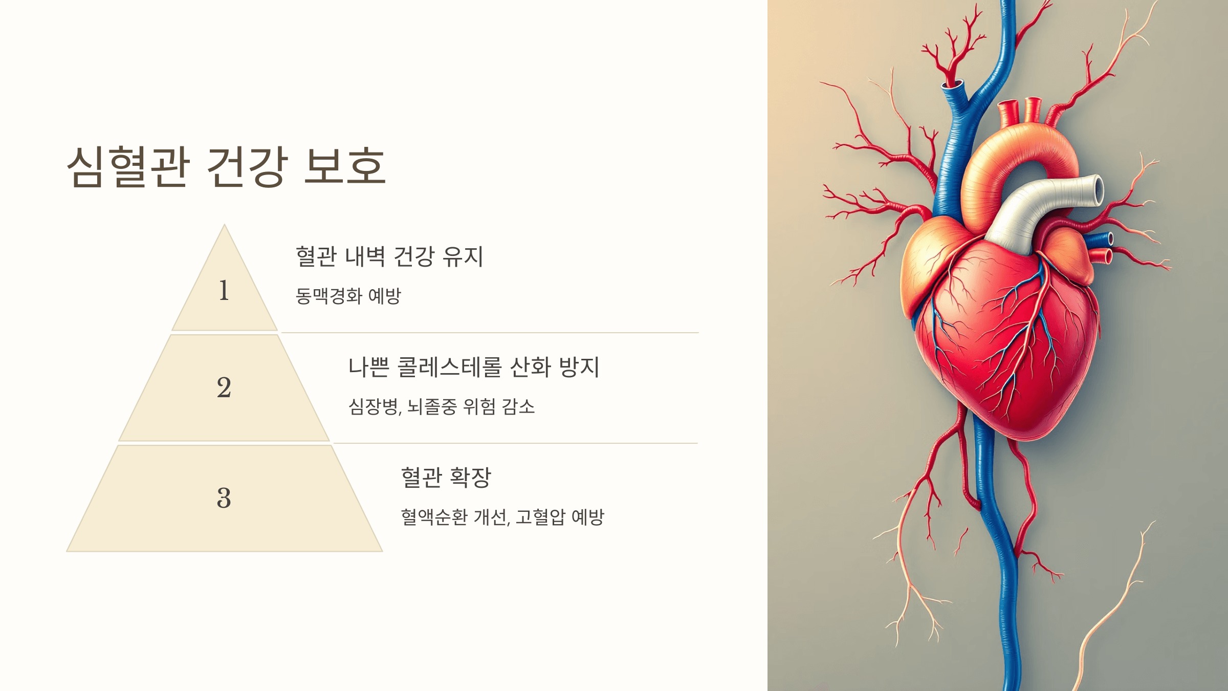 비타민C와 관련된 사진입니다.