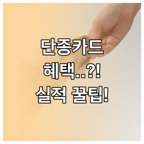 단종된 SC제일은행 마이러브 카드 재..