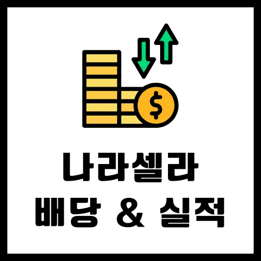 나라셀라 405920 배당 배당금 배당일 실적 분석