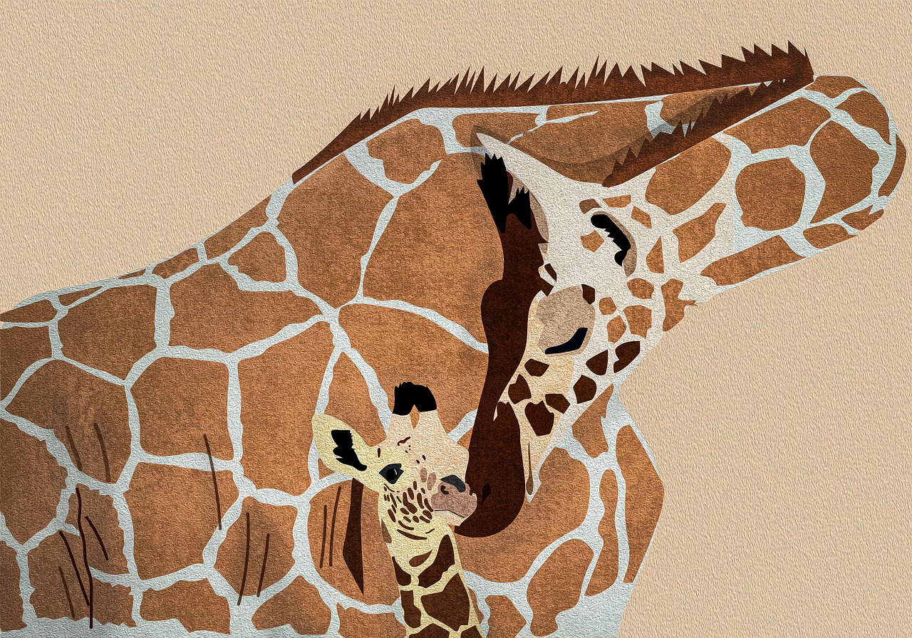 숙박세일 페스타 숙박 쿠폰 발급 및 사용방법 1분 정리