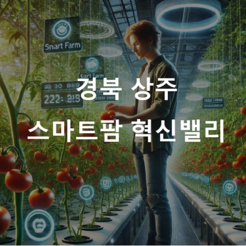 스마트팜에서 토마토를 채집중인 청년농부