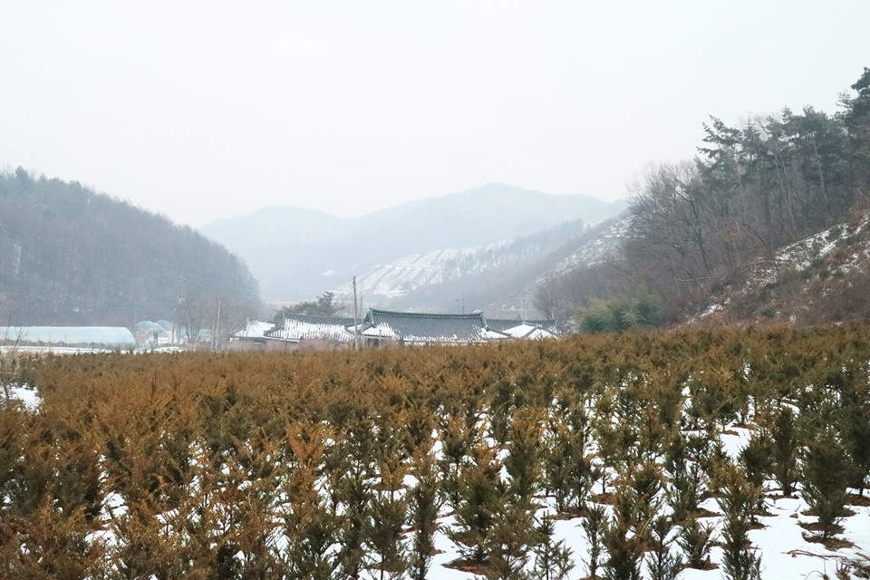 청주 낭성 고드미 마을