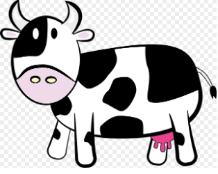 소띠 2025년 운세