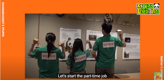 푸바오 생일잔치 판다 번식기