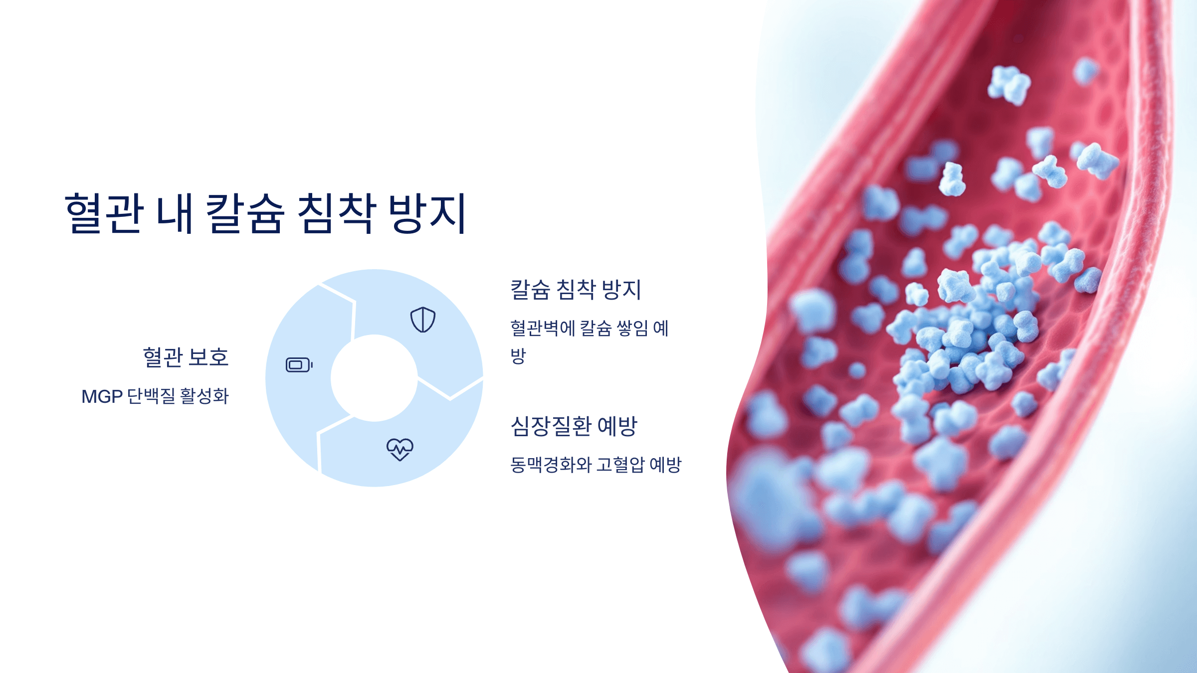 비타민K2 사진입니다.