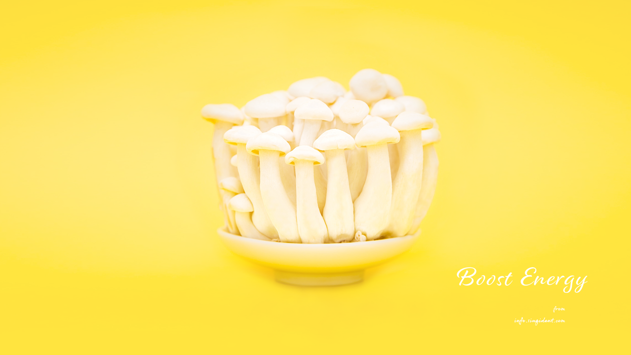 03 버섯 C - Boost Energy 노란색배경화면