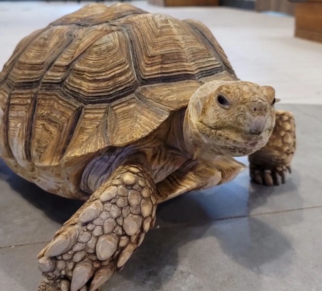 아이랑가기 좋은 곳 - 송도 인더쥬 