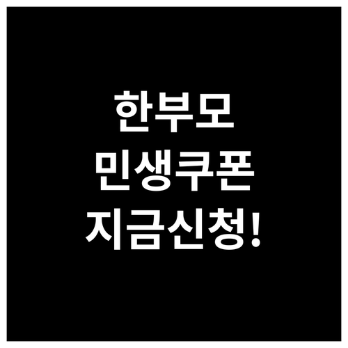 2차 민생회복 소비쿠폰, 한부모가족에..