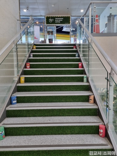 부산 태종대 폭염 여행 리얼후기🌊 여름 필수템 8가지 추천