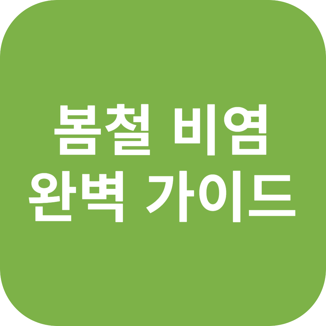 봄철 비염 완벽 가이드! 원인부터 치료법, 추천 제품까지 총정리