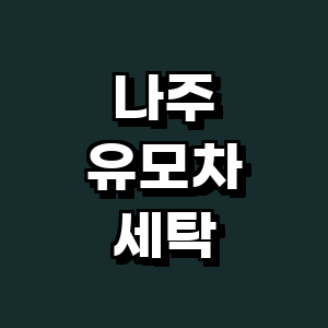 나주시 유모차 세탁