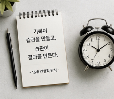 간헐적 단식 방법 16:8