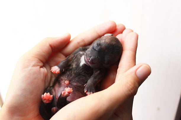 초보자가 흔히 하는 실수