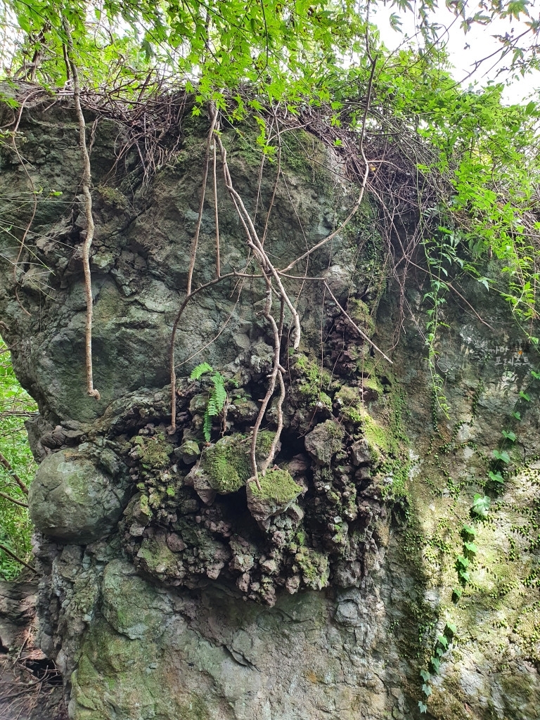 거문오름 화산탄