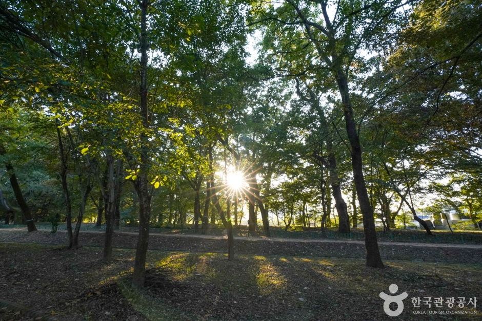 의성 가볼만한곳 베스트10