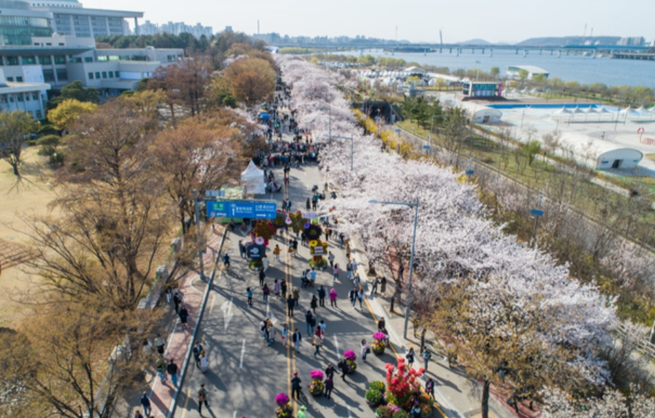 여의도 벚꽃축제 일정