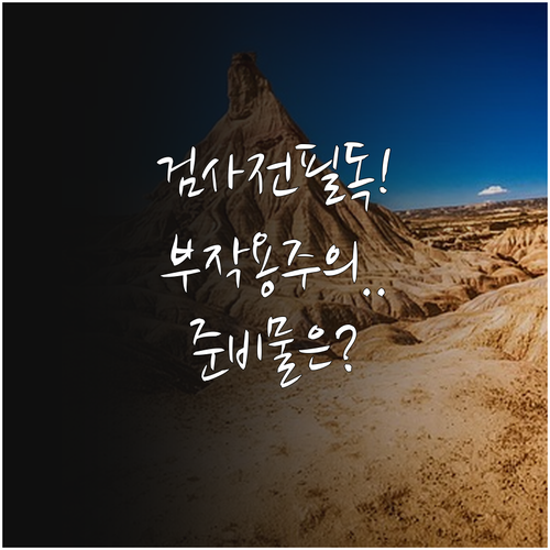 나팔관 조영술 조영제 부작용 증상 및..