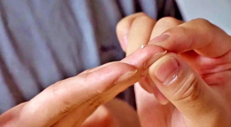 순간포착 세상에 이런일이 눈으로는 확인 불가 1.5mm 초미니 종이학 접는 중학생, 직접 만든 드레스로 매일 주인공이 되는 여자 오늘방송 다시보기