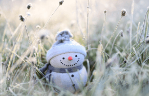 2025 잠실 크리스마스 마켓 예약