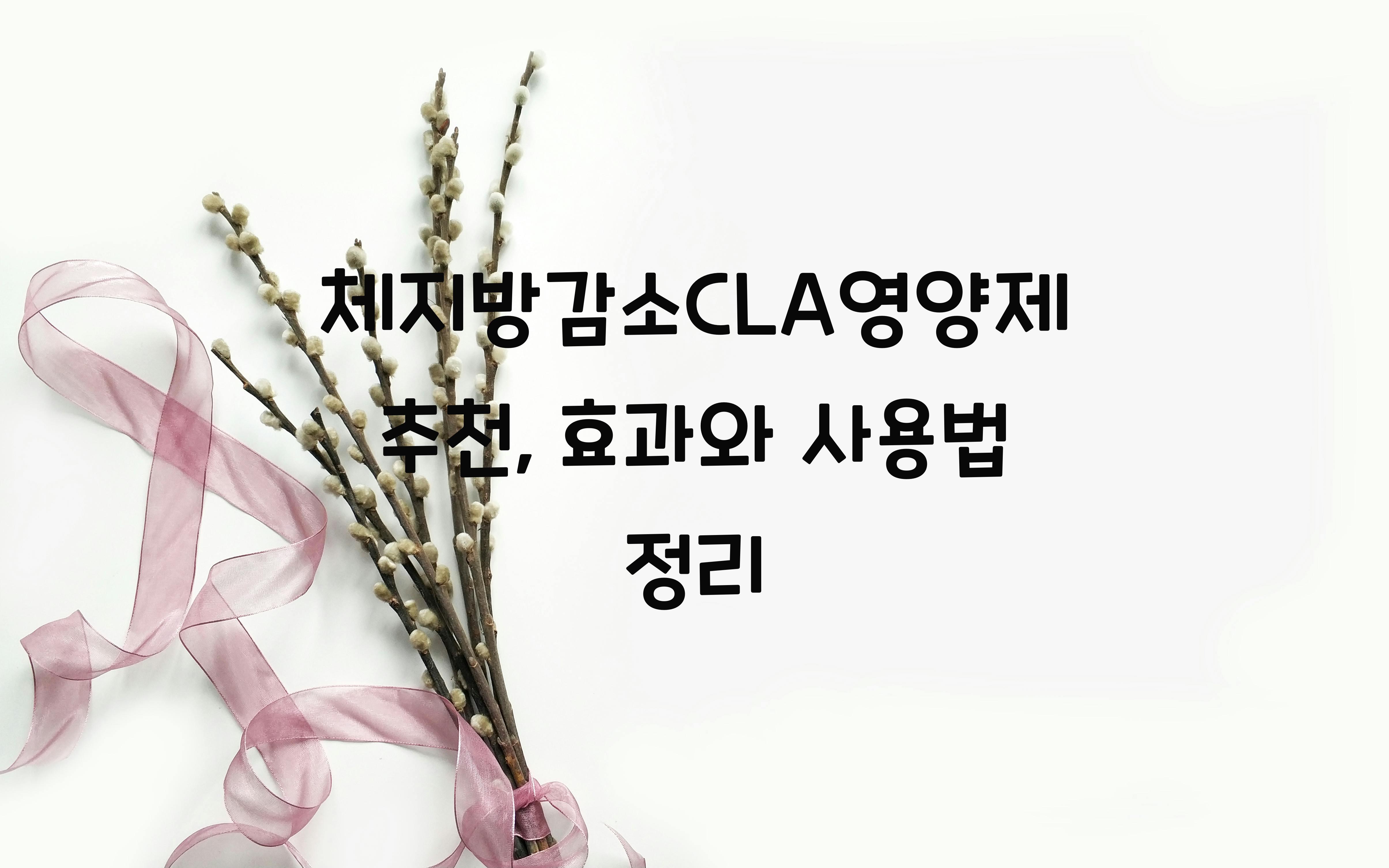 체지방감소CLA영양제