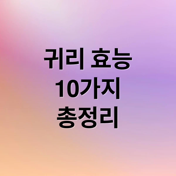 귀리 효능 10가지 총정리 문구