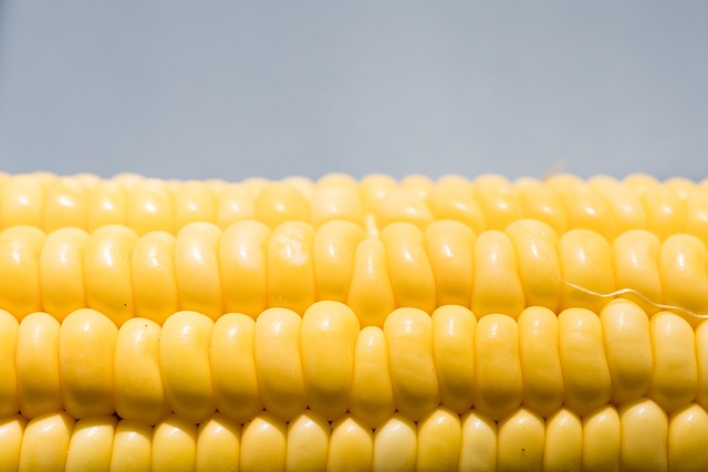 옥수수 수염차 만드는 방법