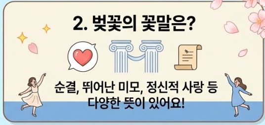 벚꽃 상식 