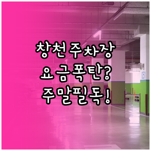 창천 공영주차장 요금과 주말 방문 시..