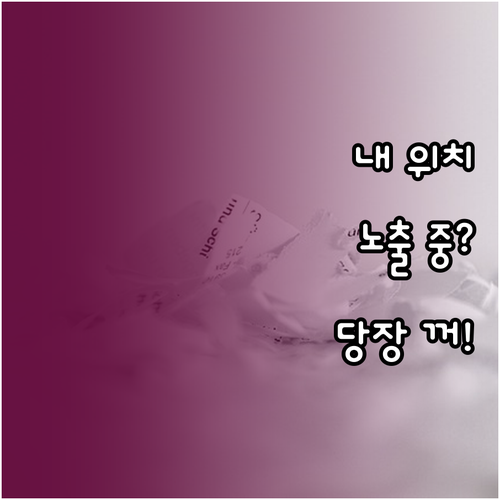 아이폰 정확한 위치 설정 해제로 개인..