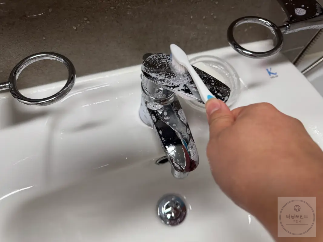 프로쉬 사제 사용