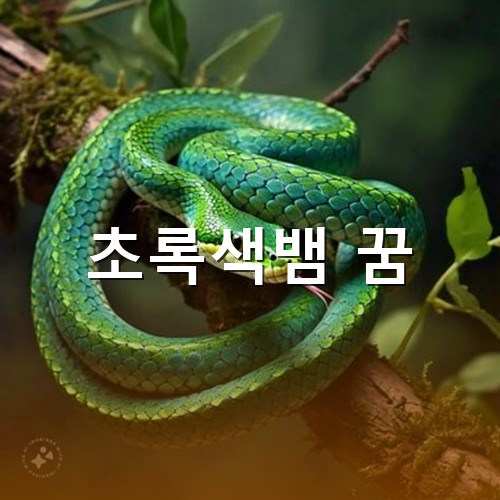 초록색뱀이-나무위에-앉아-머리를-들고있는-모습