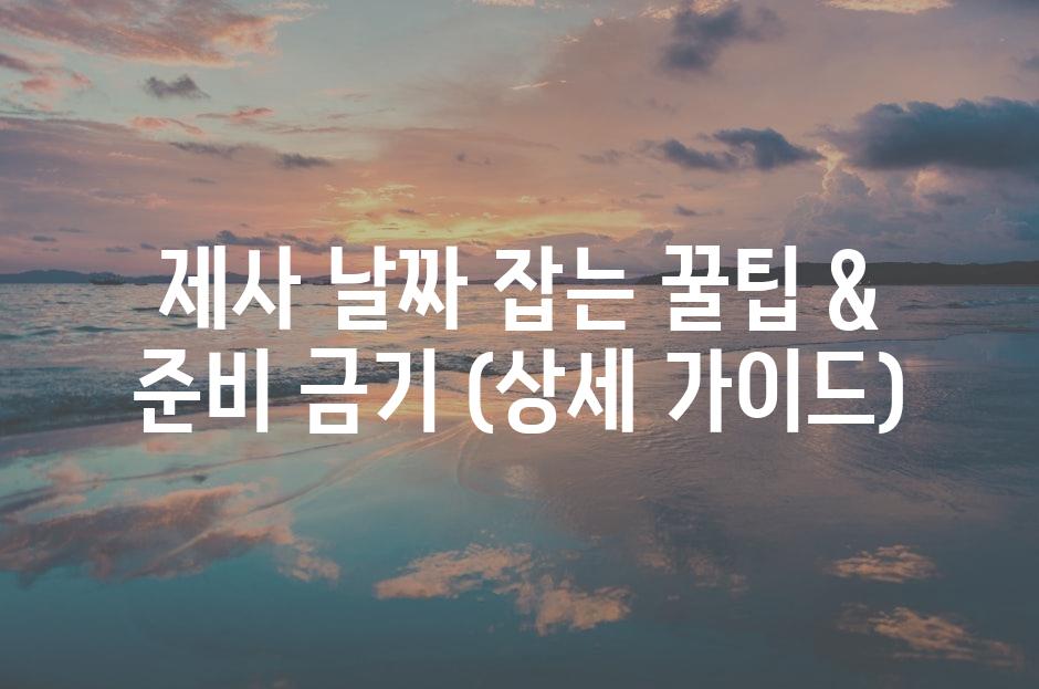 샘플 (81)