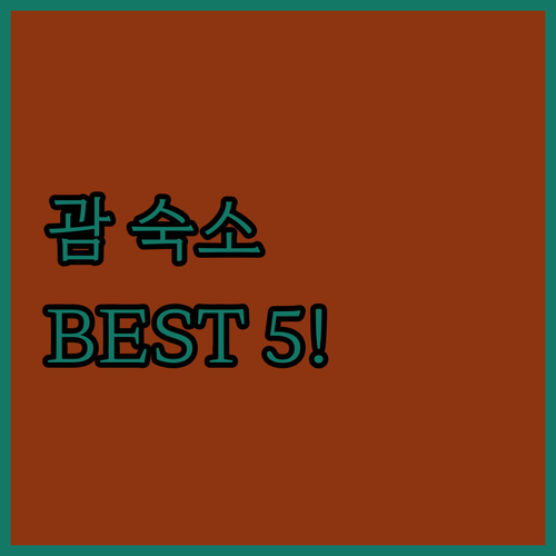 괌 숙소 추천 가성비 호텔부터 시내 ..