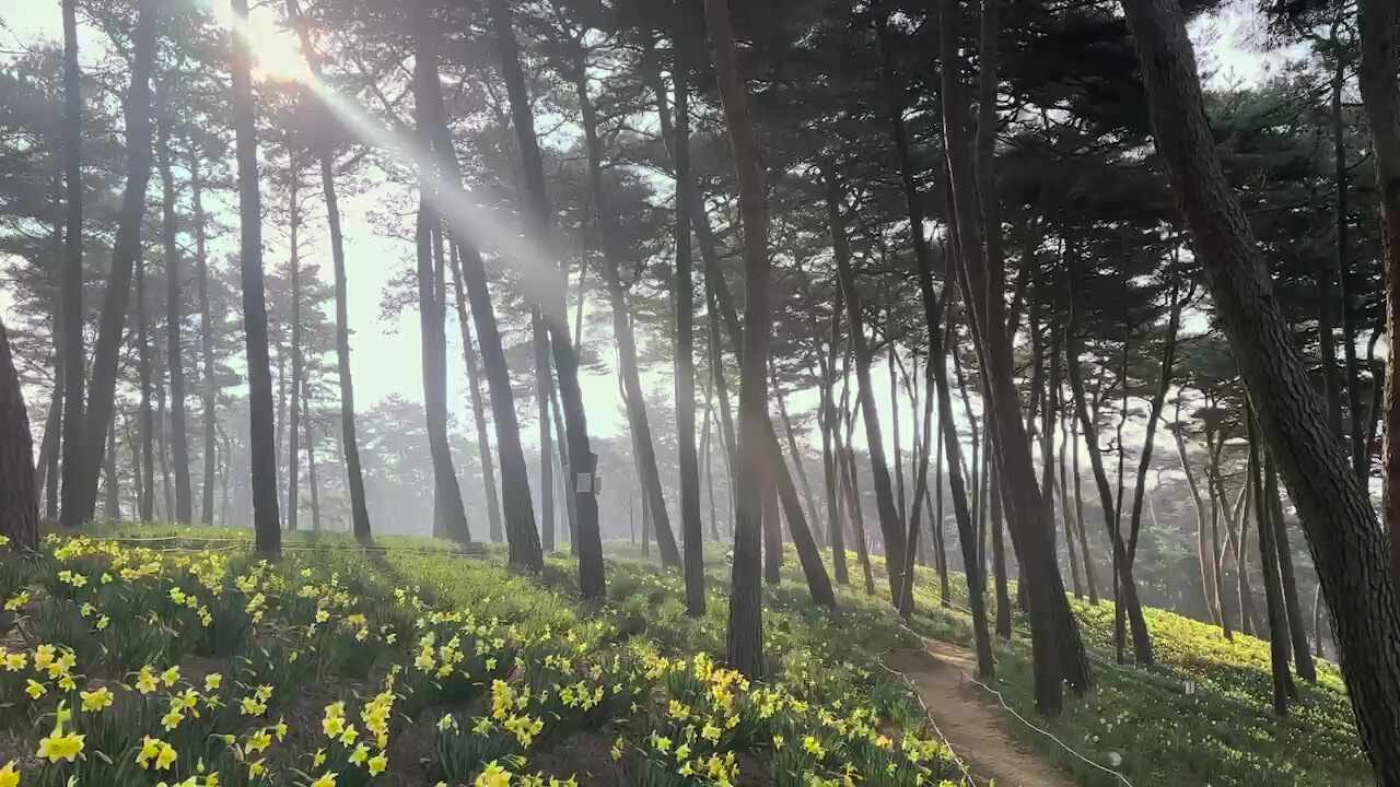 유기방가옥