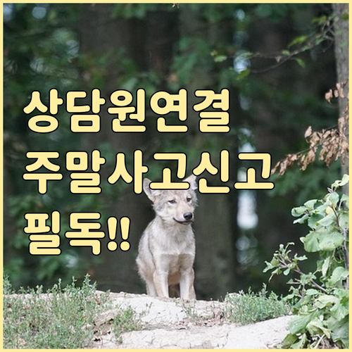 케이뱅크 상담원 연결 시간과 주말 사..