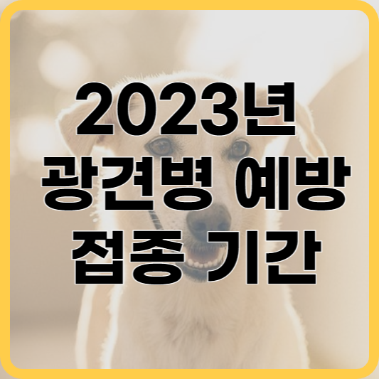 2023년-광견병-예방접종