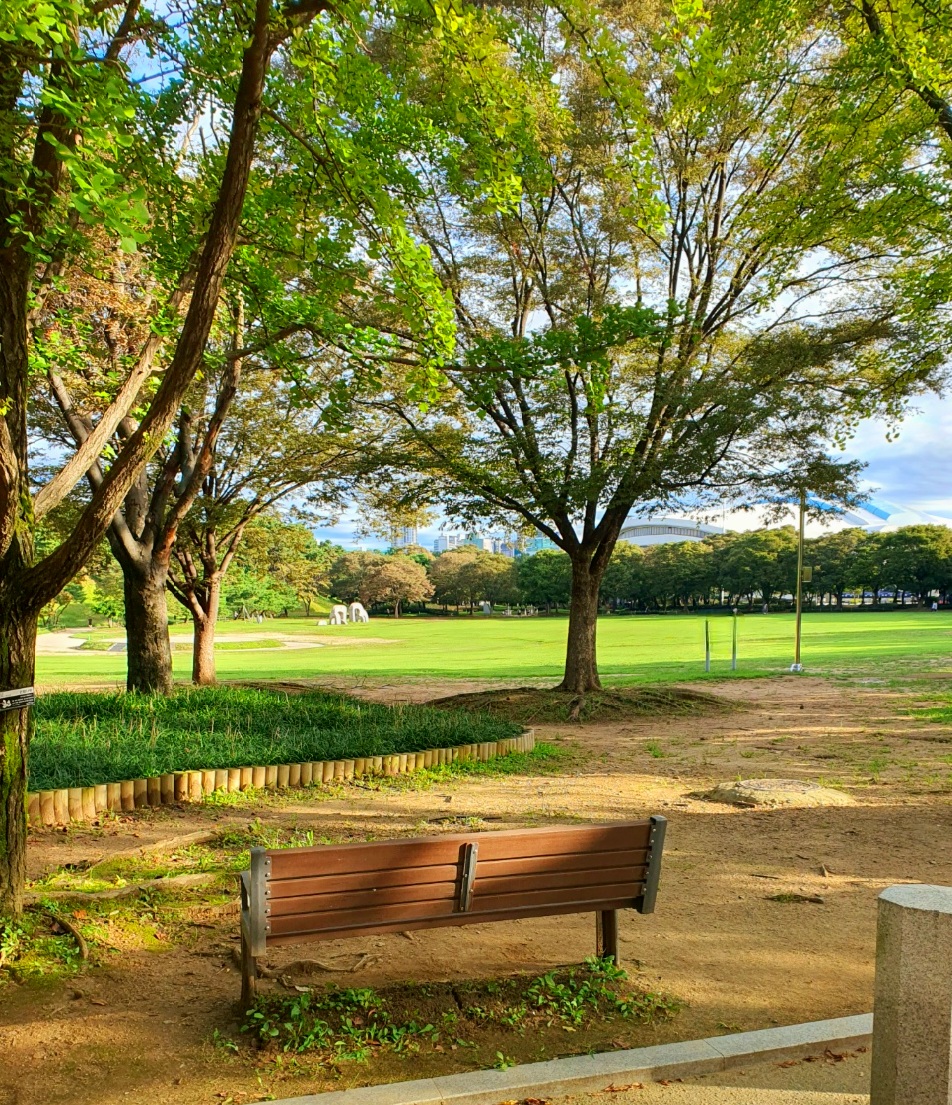 곳곳에-벤치가-많아요.