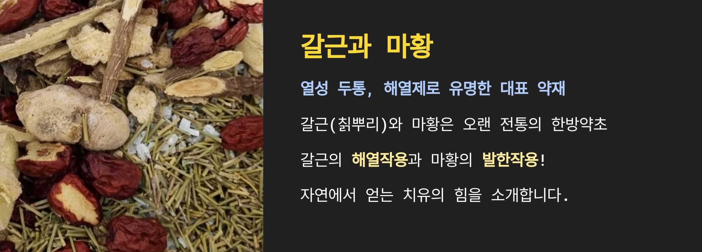 갈근의 효능
마황의 효능