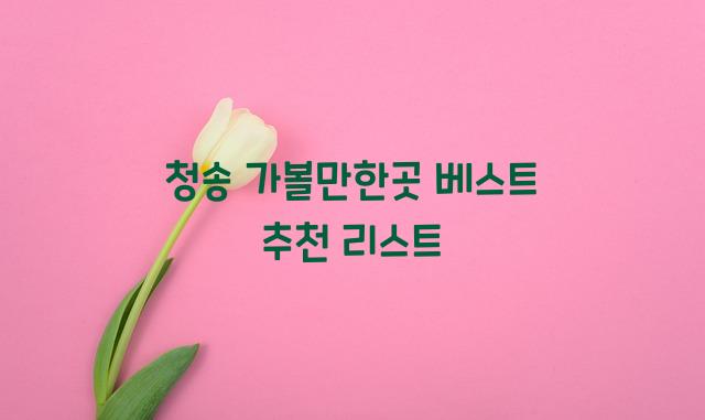청송 가볼만한곳