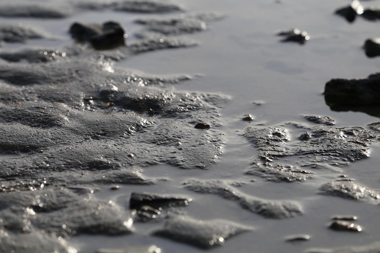 머드축제 이미지