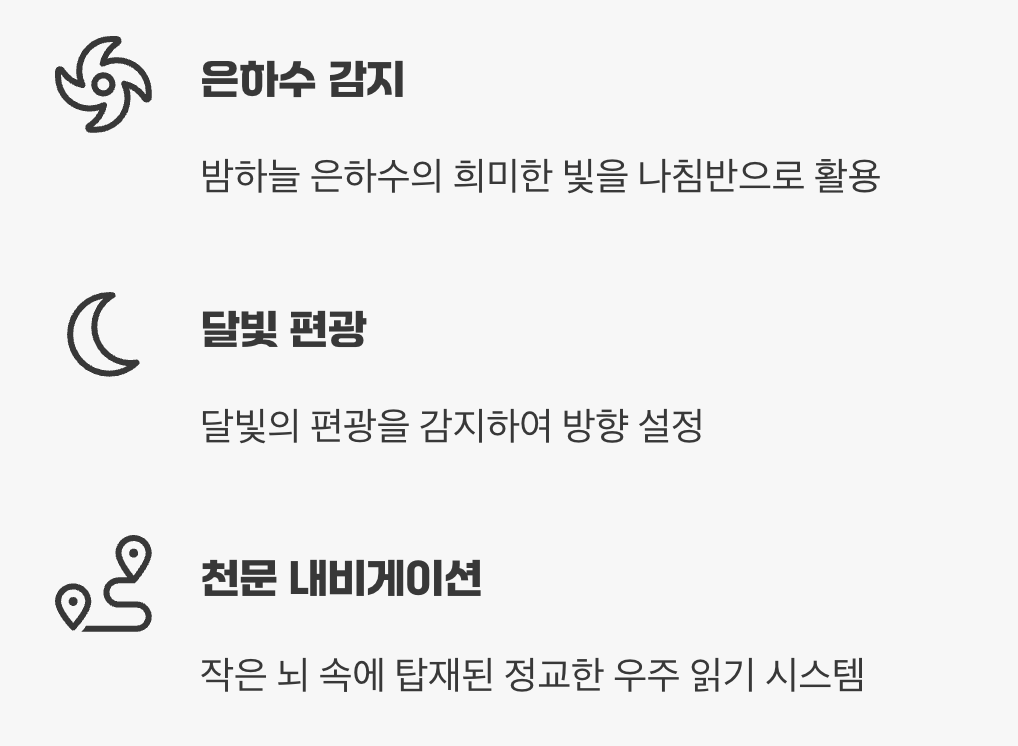 길을 잃지 않는 비밀, 밤하늘의 내비게이션