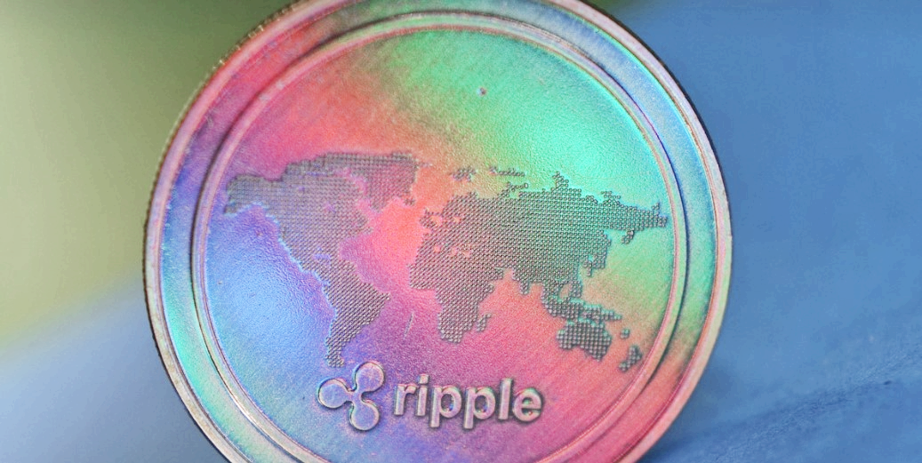 엑스알피 이미지