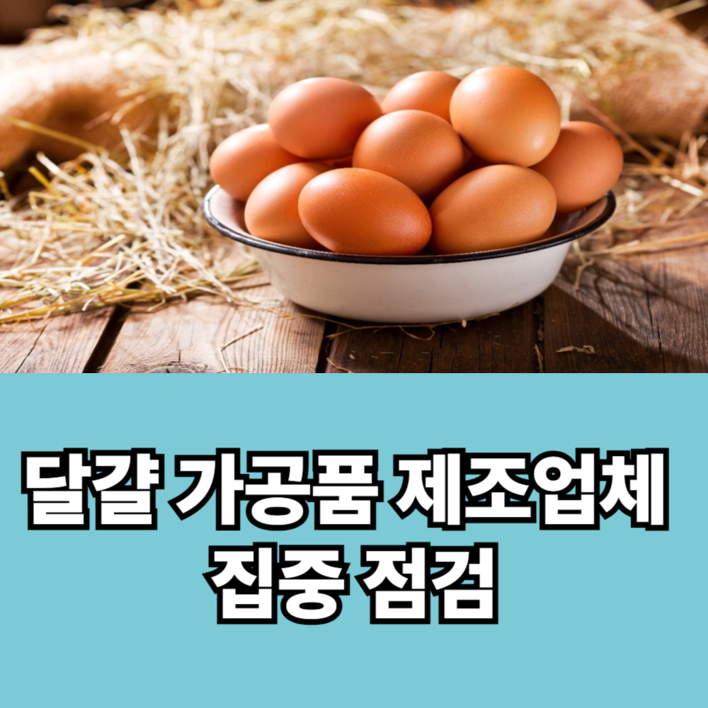 달걀 가공품 제조업체 집중 점검