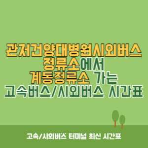 관저건양대병원시외버스정류소에서 계동정류소 가는 시외버스 시간표 최신정보